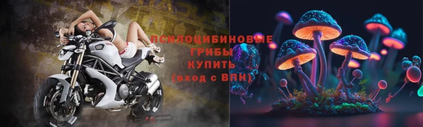 альфа пвп Армянск