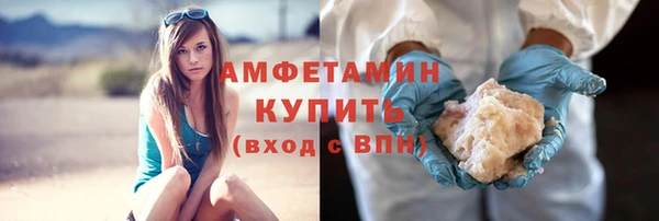 твердый Ельня