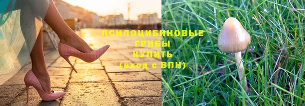 тгк Арсеньев