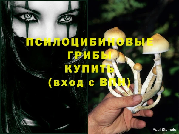 тгк Арсеньев