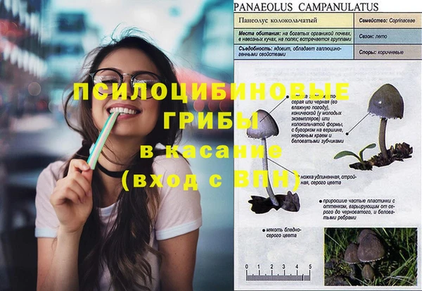 мяу мяу мука Аркадак