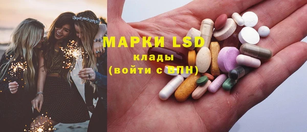 мяу мяу мука Аркадак