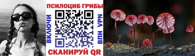 blacksprut ТОР  Ахтубинск  Галлюциногенные грибы мухоморы 